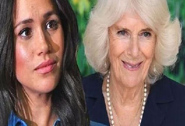 Queen Camilla let the cat out of the bag