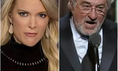 BREAKING NEWS: Megyn Kelly bluntly called Robert De Niro ‘Extremely stupid’ on television!