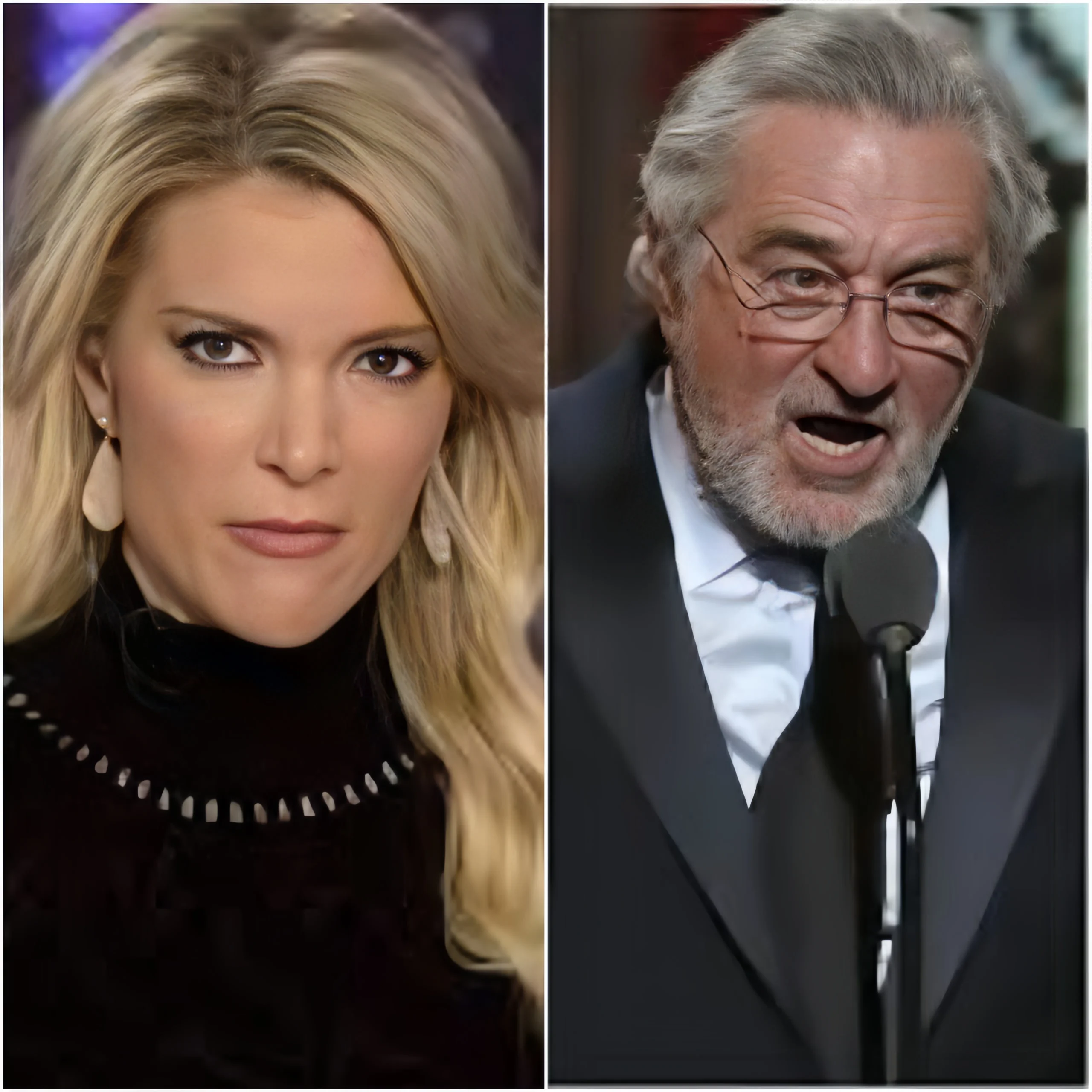 BREAKING NEWS: Megyn Kelly bluntly called Robert De Niro ‘Extremely stupid’ on television!